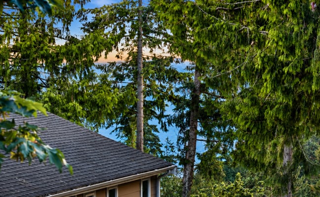 Twilight yard and deck at Stay In Sammamish
