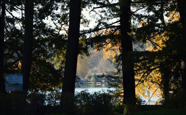 Autumn trees reflected in a calm Pacific Northwest lake
