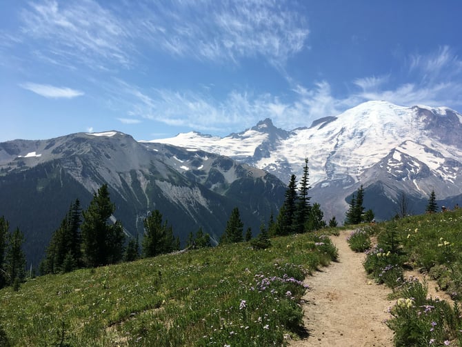 Alpine trail through wildflowers with Mt. Rainier and Cascade peaks behind