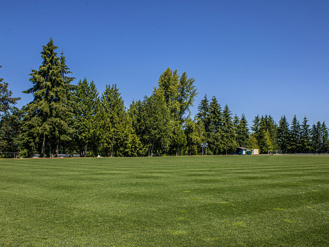 Open green sports fields and tall conifers at Marymoor Park in Redmond