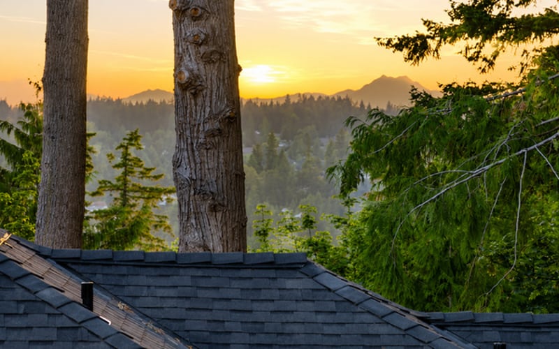 Olympic Mountains view
