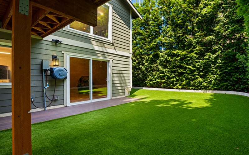 Backyard