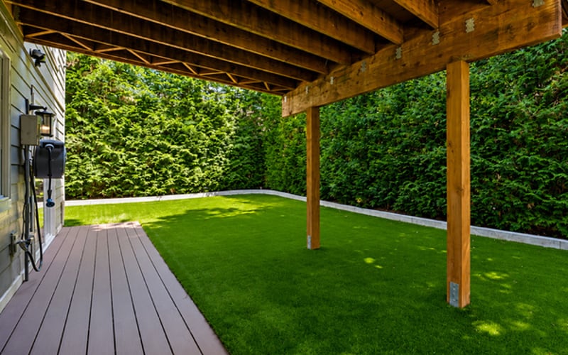 Backyard