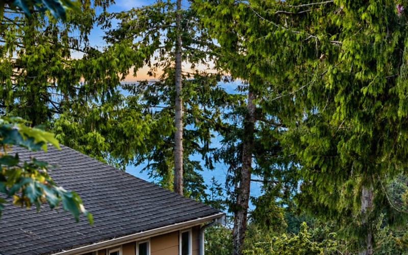 Peekaboo Lake Sammamish view