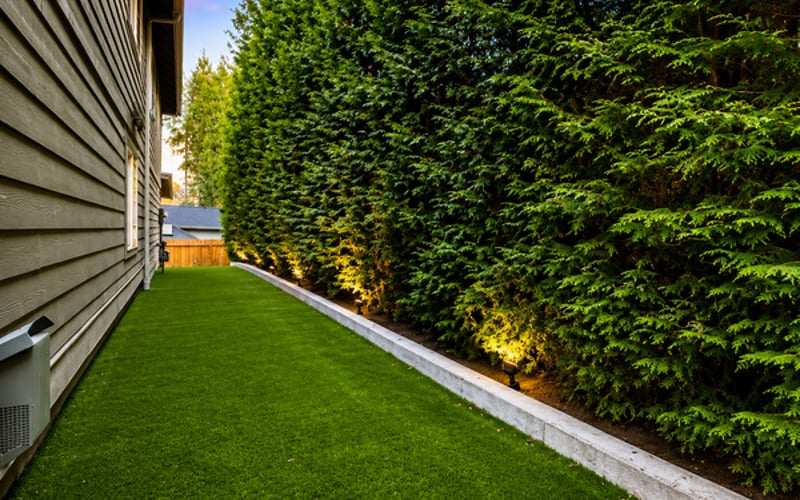 Side Yard