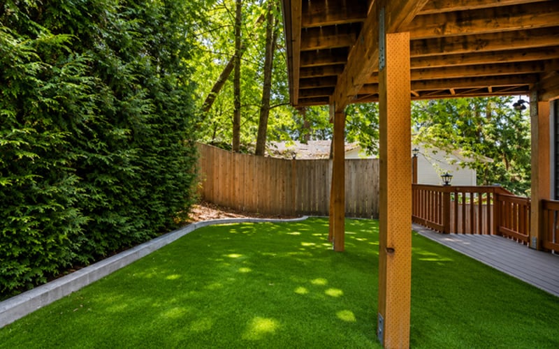 Backyard