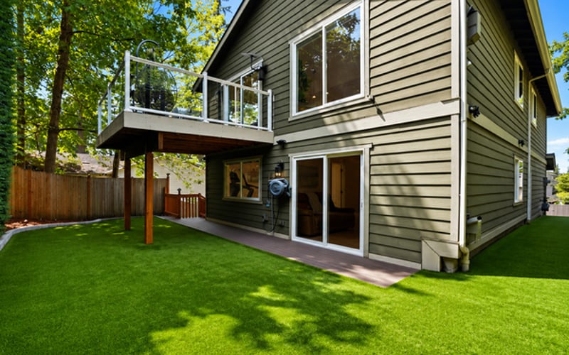Backyard